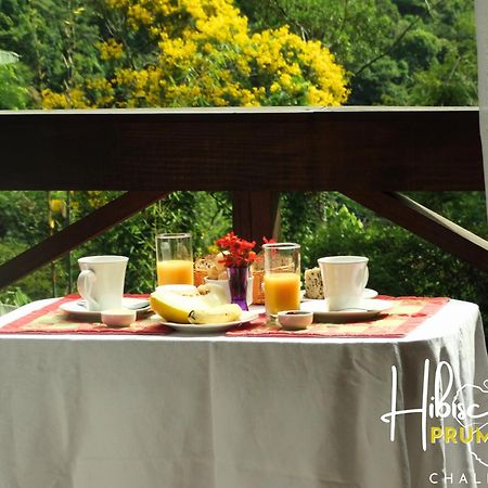 Hibiscus Prumirim Chales Ubatuba Zewnętrze zdjęcie