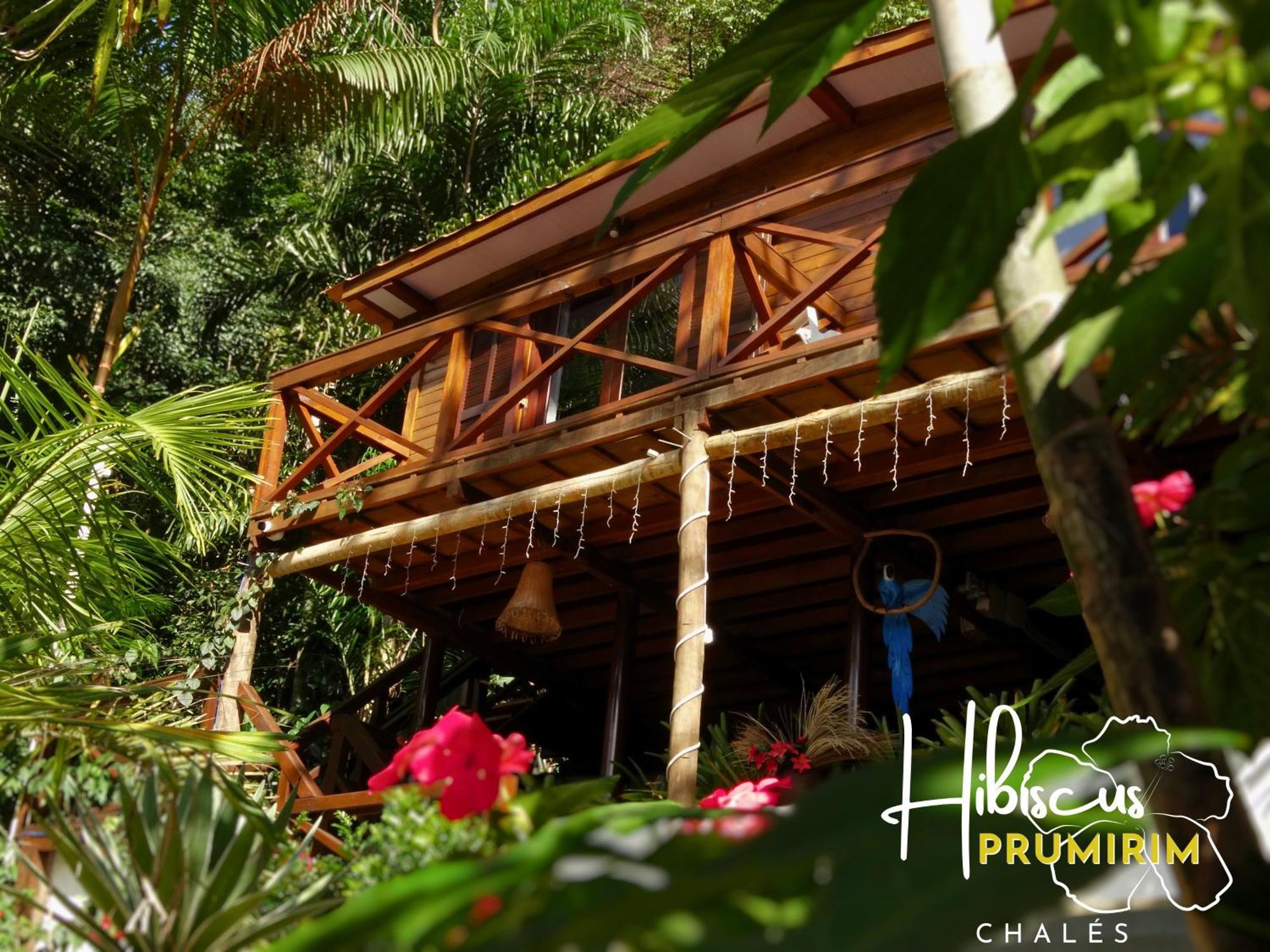 Hibiscus Prumirim Chales Ubatuba Zewnętrze zdjęcie